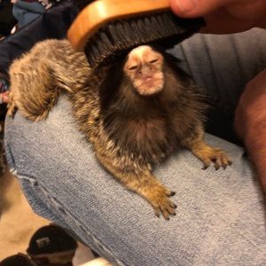 Meet your Posher, Johnathon